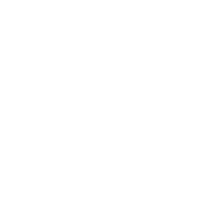 white color home icon